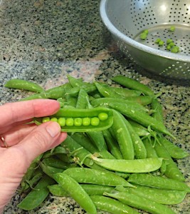Shelling spring peas