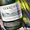 Terrunyo Sauvignon Blanc Featured