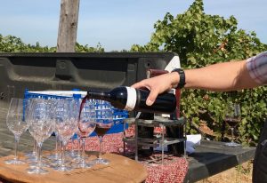 Harney Lane Zinfandel
