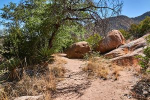 Granite bolders along the trail