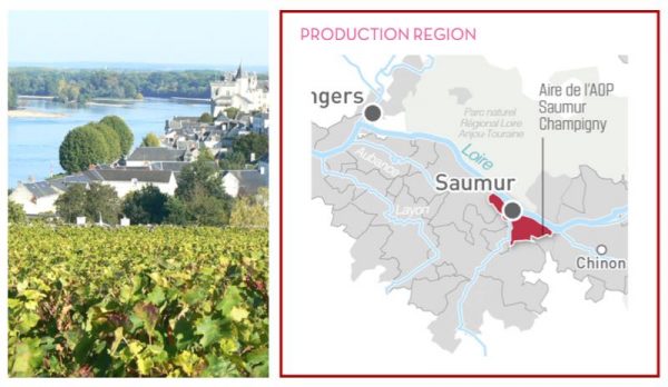 Image and Saumur Champigny Map from Loire Valley Wines