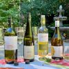 White Wines For Summer Imported by González Byass photo