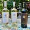 Flora Springs Flagship Wines featured photo