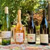 Languedoc wines featured photo