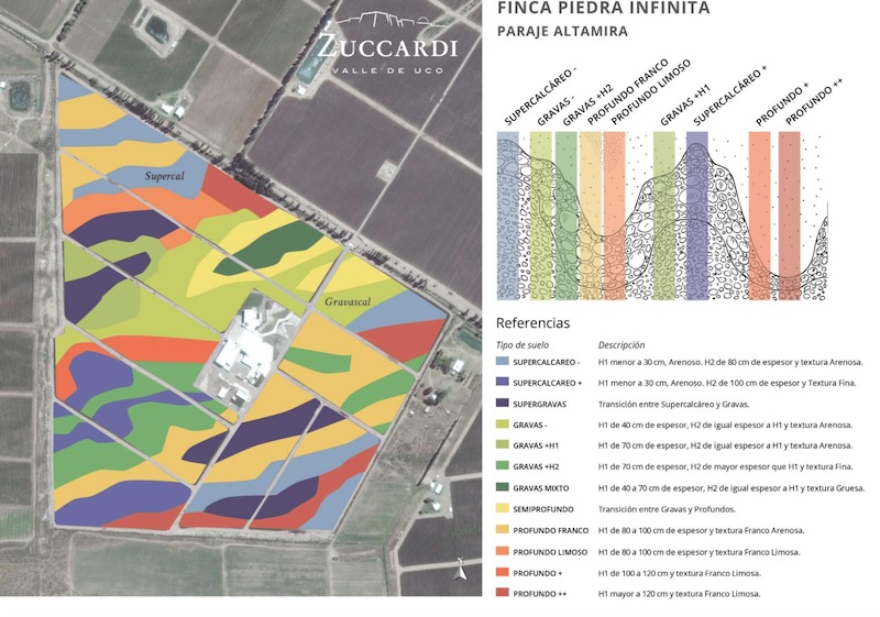 Soil map of Finca Piedra Infinita showing complex soils in the vineyard