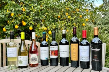 Uruguay wines featured photo
