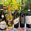Photo of Sandro de Bruno, Zanon Boschera, Antonella Piatti Erbaluce di Caluso, Vigna Petrussa Schioppettino de Prepotto and Aldo Clerico Langhe Nebbiolo on a table in front of trees and a fountain.
