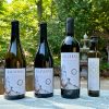 Bottle shots Laverne wines and Notre Vue olive oil