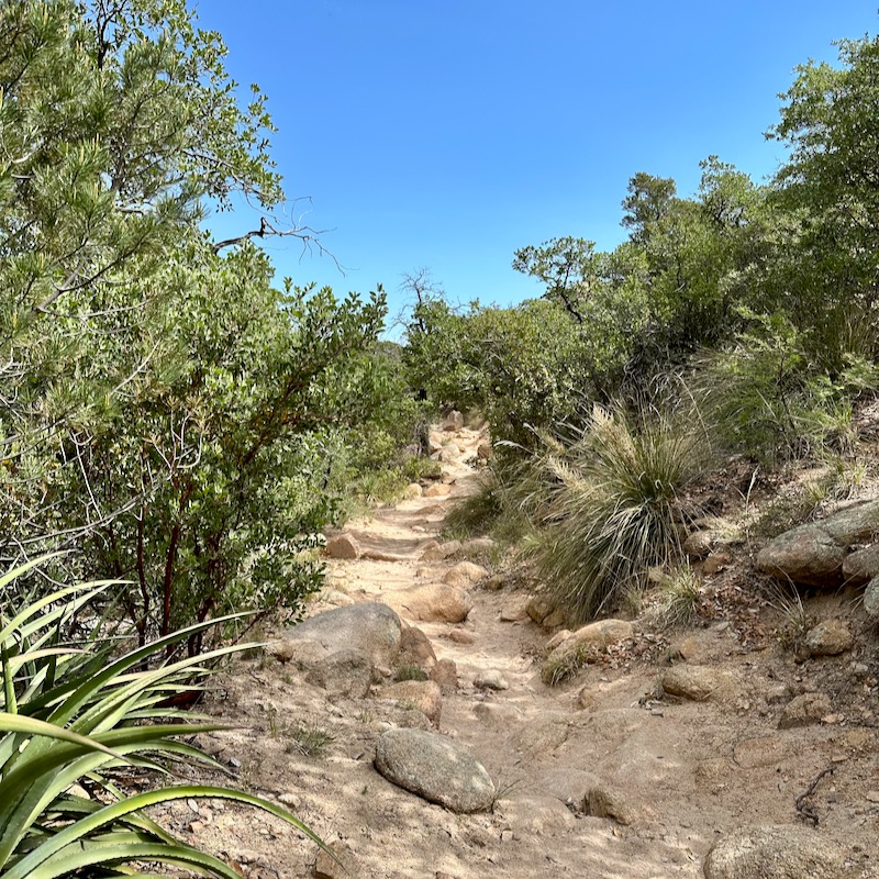 Rocky section of trail at Cochise Stronghold
