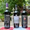 Photo of three bottles of Tuscan Sangiovese in garden setting