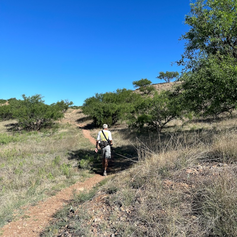 Photo of Borderlands Wildlife Preserve trail through mesquite trees