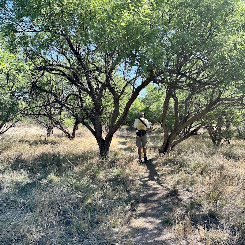 Borderlands Wildlife Preserve trail through mesquite trees