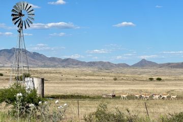 Photo of windmill, pronghorn antelope, cattle and mountains behind the grassland