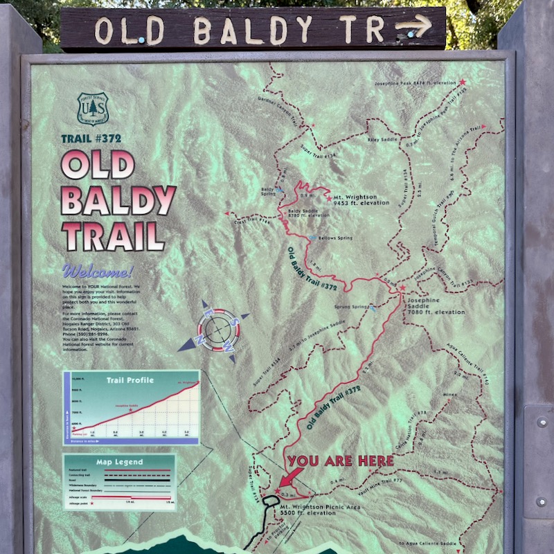 Photo of Old Baldy Trail sign